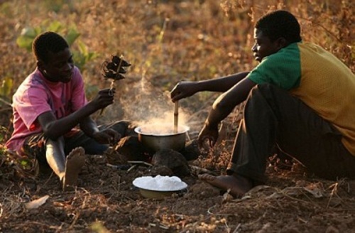 Ghê rợn sở thích ăn chuột nguyên con của người Malawi - 3 Ghê rợn sở thích ăn chuột nguyên con của người Malawi - 3