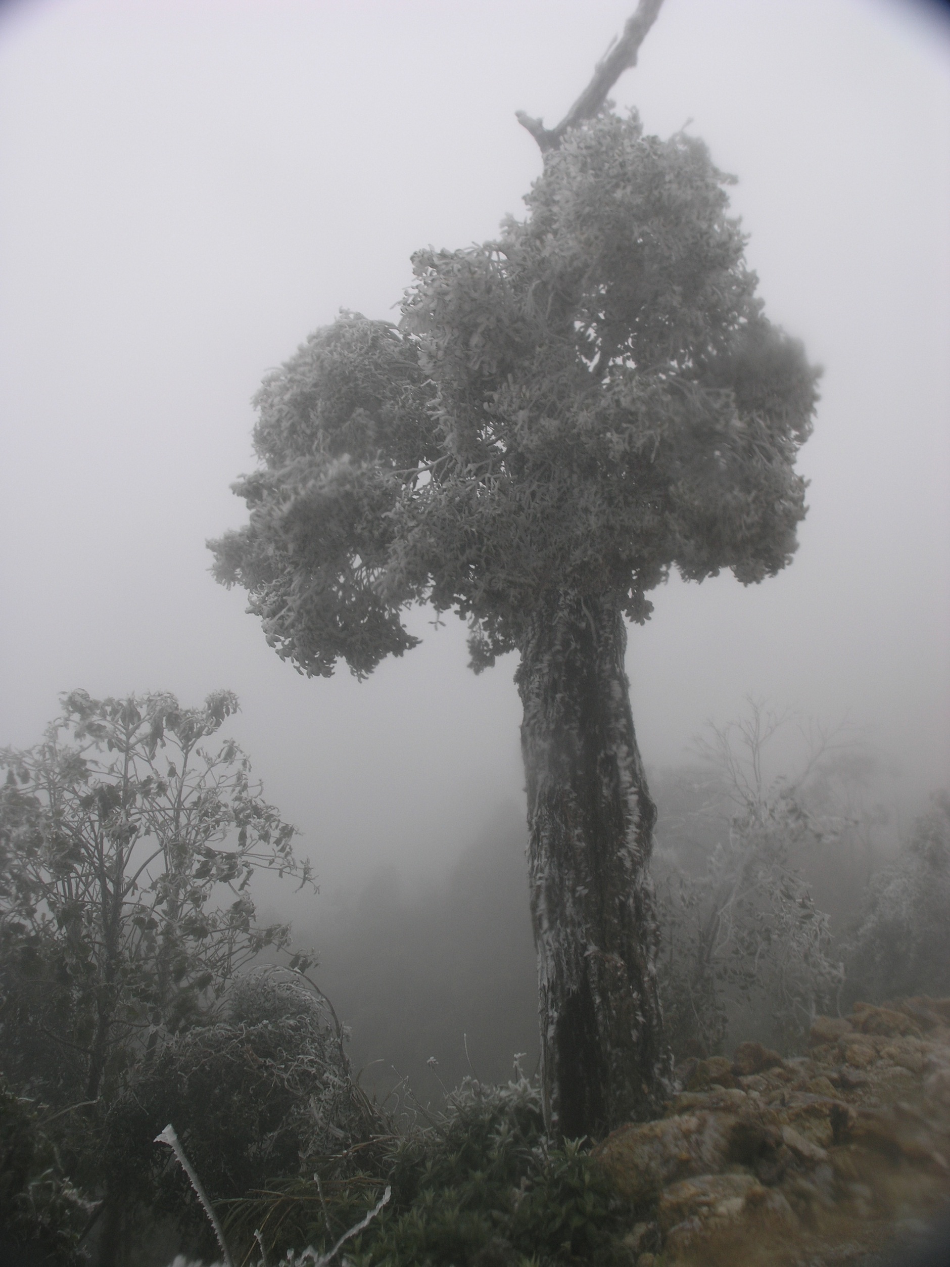 Băng tuyết vẫn phủ trắng nhiều khu vực tại thị trấn Sapa.