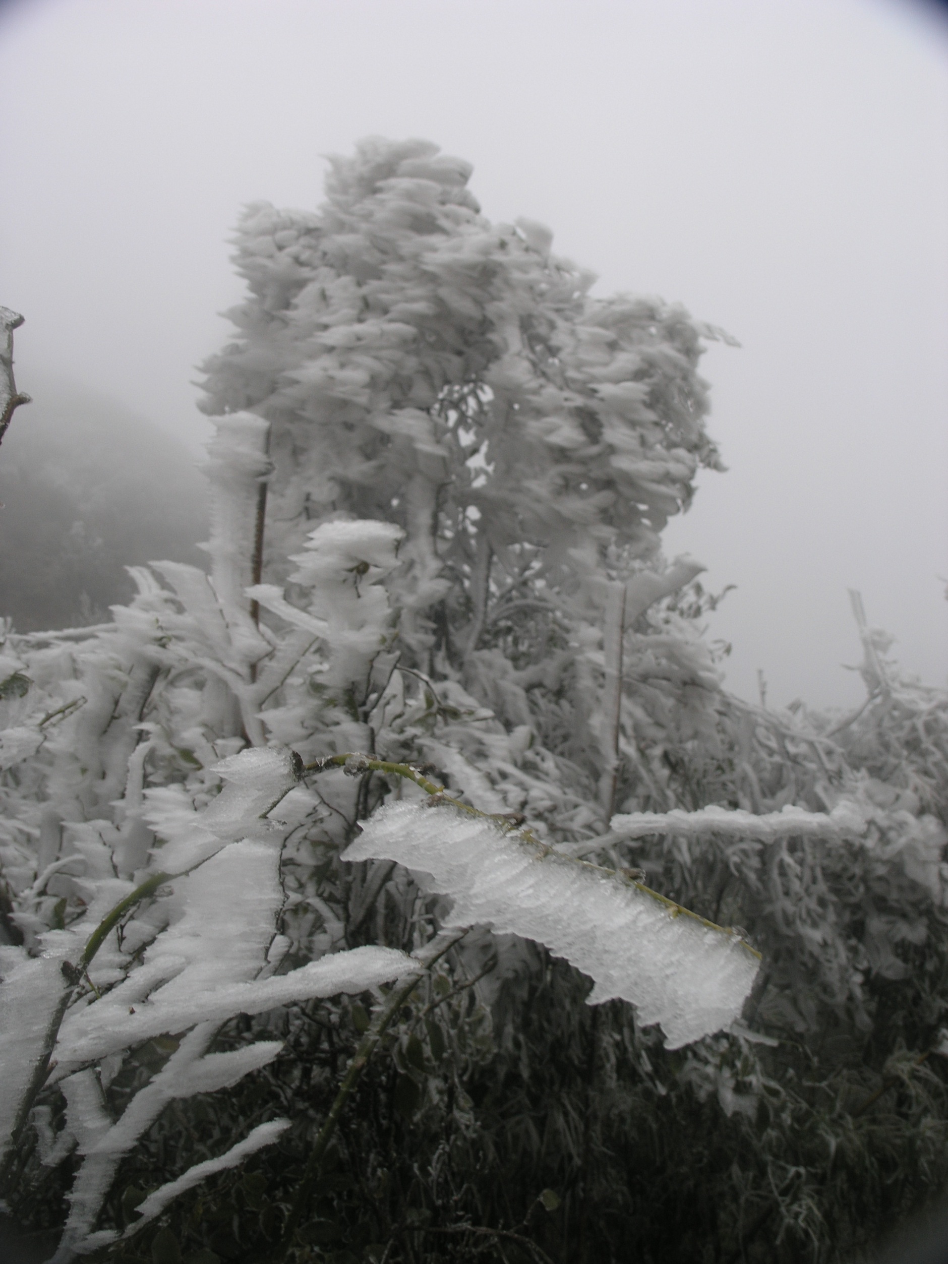 Băng tuyết vẫn phủ trắng nhiều khu vực tại thị trấn Sapa.