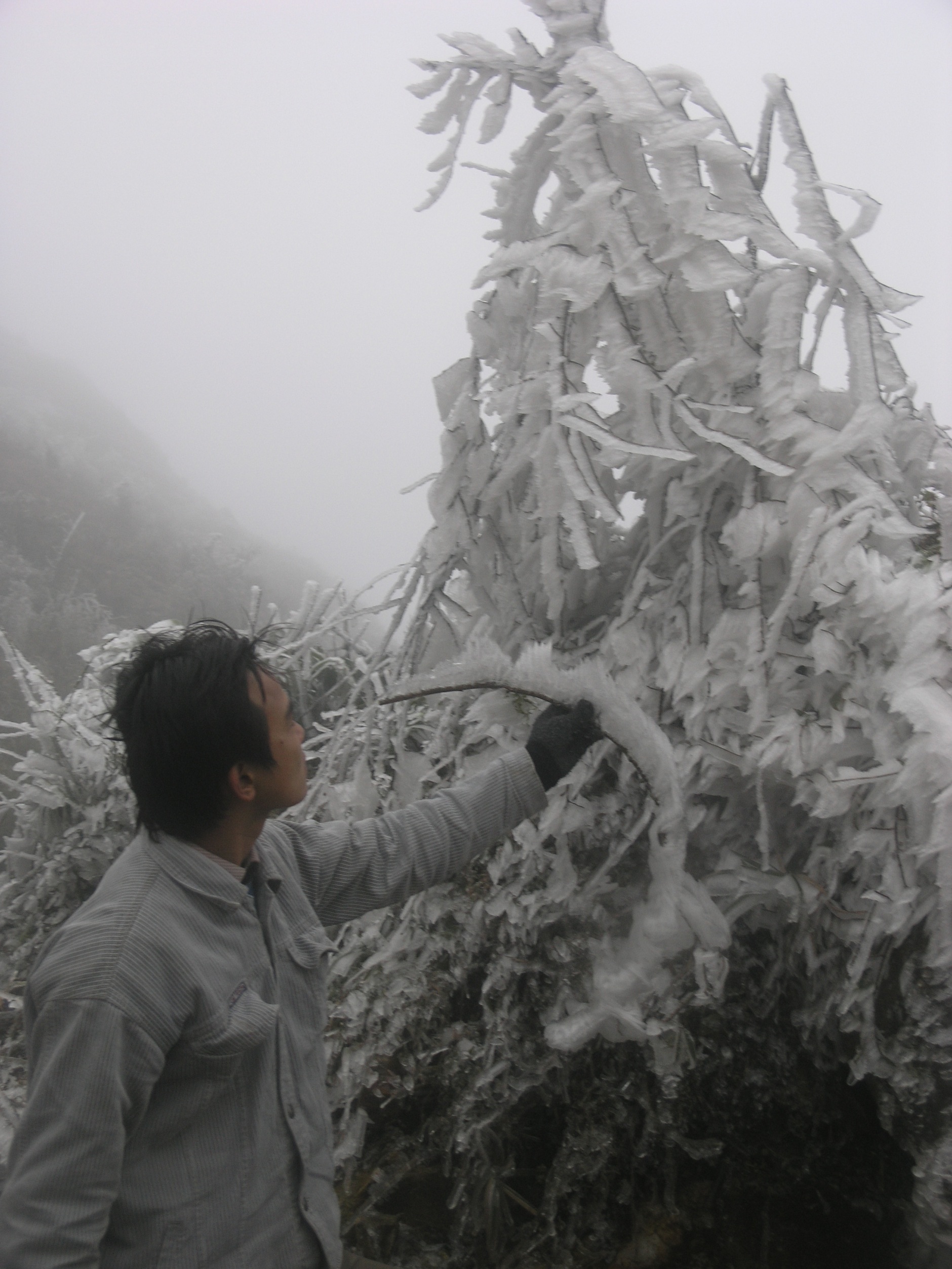 Băng tuyết vẫn phủ trắng nhiều khu vực tại thị trấn Sapa.