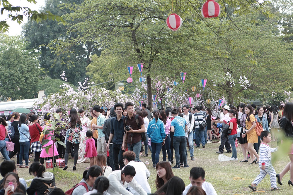 Hà Nội: Tắc nghẽn ở lễ hội hoa anh đào - 13 Lễ hội hoa anh đào Nhật Bản 2015 tại Hà Nội kết thúc vào chiều nay.