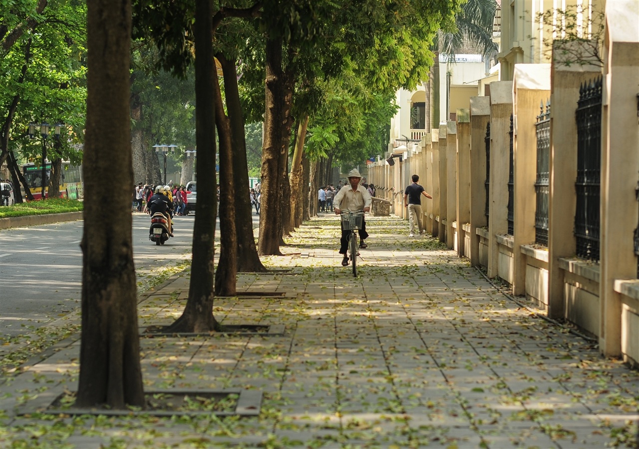 Tại phố Trần Phú