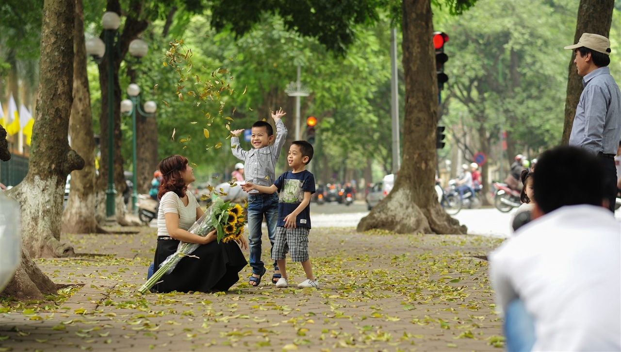 Hà Nội mùa lá rụng đẹp đến nao lòng
