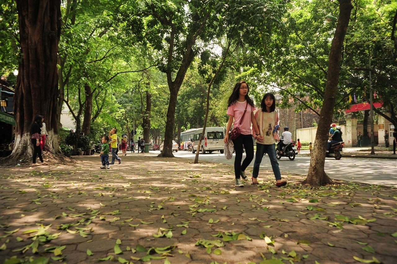 Tại phố Trần Phú