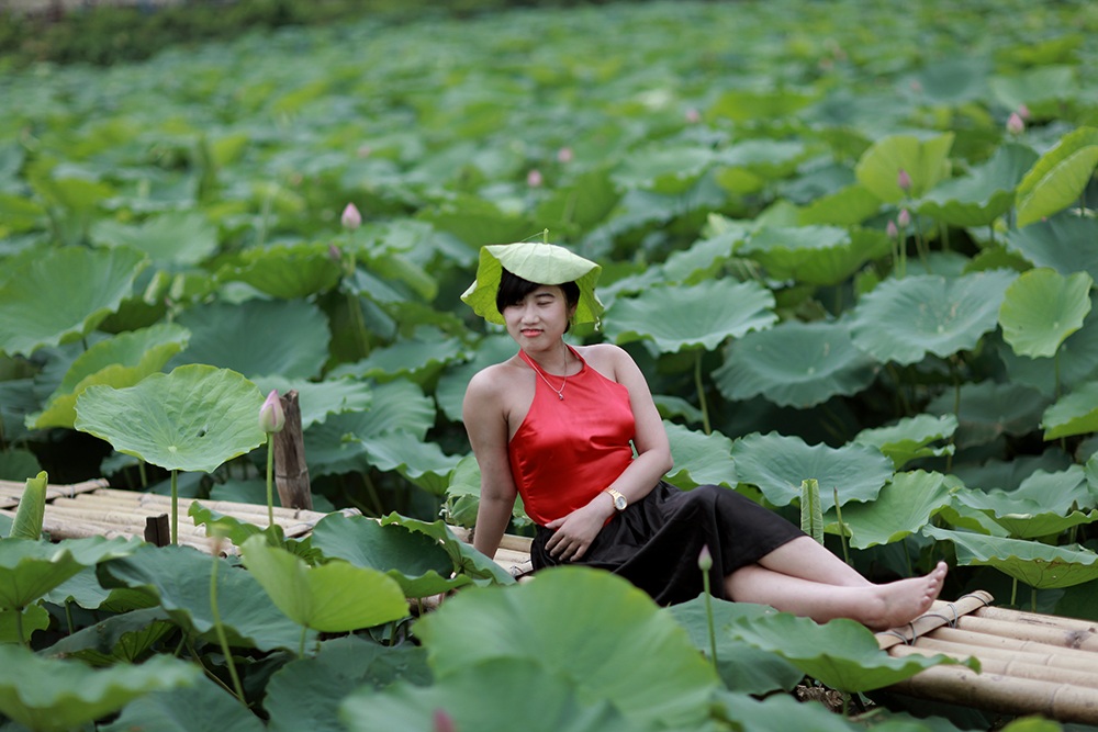 Mướt mồ hôi chụp sen Hồ Tây dưới nắng nóng "thiêu đốt" - 3 Vào những ngày này, lá sen, nón, ô... trở thành đạo cụ bất ly thân