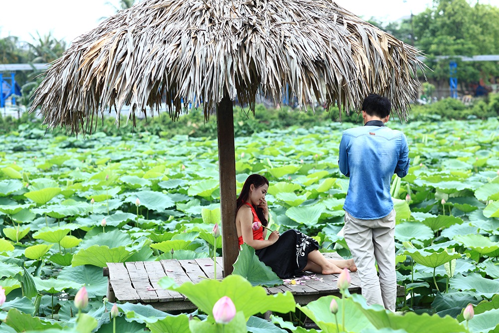 Mướt mồ hôi chụp sen Hồ Tây dưới nắng nóng "thiêu đốt" - 8 Mọi bóng râm đều được tận dụng