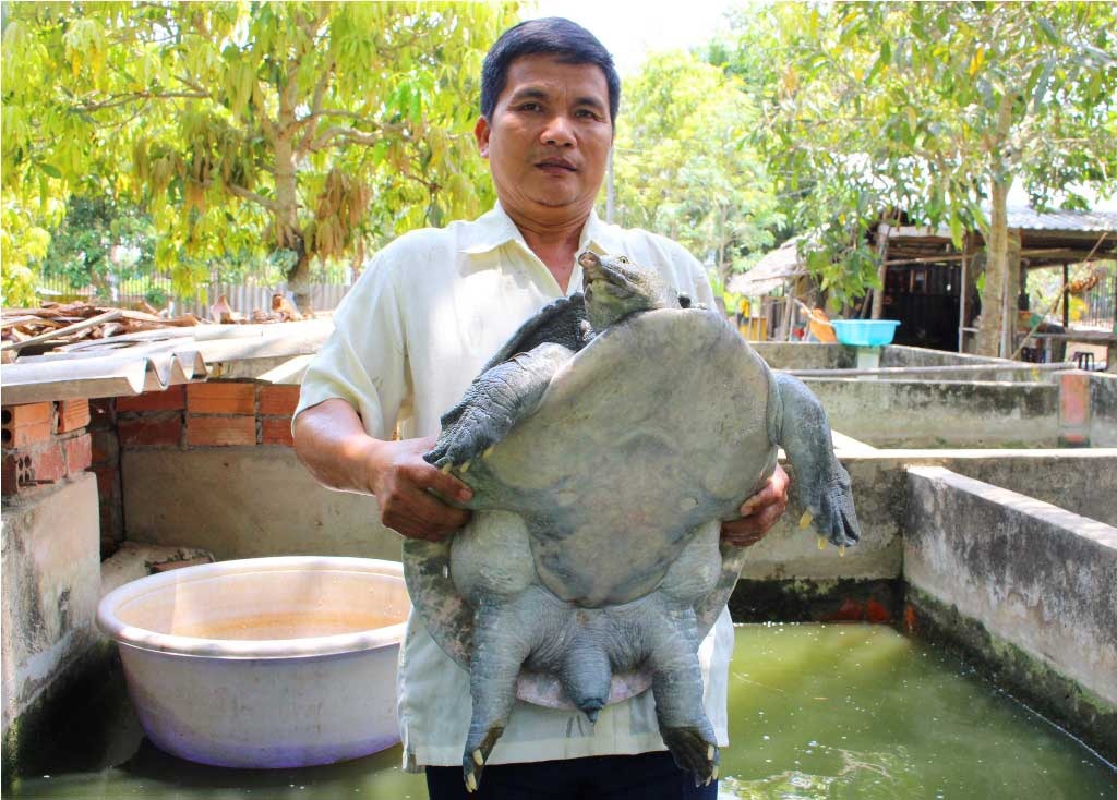 Con cua đinh nặng
35kg của ông Đinh Văn Thủ