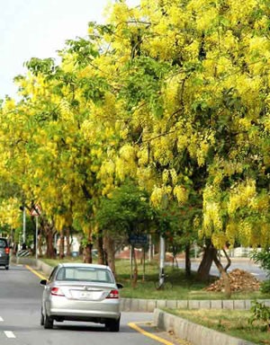 Khoảng lặng ở thành phố ngàn hoa Nha Trang - 1 Khoảng lặng ở thành phố ngàn hoa Nha Trang - 1