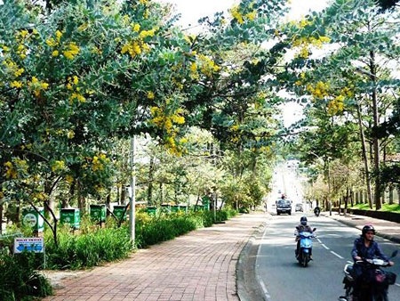 Miền ký ức - Mimosa - 2 Miền ký ức - Mimosa - 2