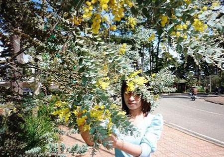 Miền ký ức - Mimosa - 3 Miền ký ức - Mimosa - 3