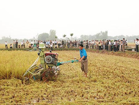 Thử hỏi xem sao về KHCN... - 1 Thử hỏi xem sao về KHCN... - 1