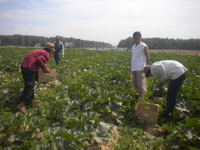 Nỗi niềm xứ Nghệ trong tôi... - 1 Nỗi niềm xứ Nghệ trong tôi... - 1