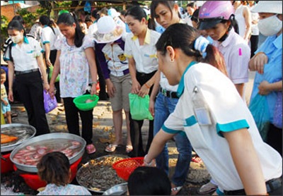 “Tài sản quý giá” trước nguy cơ thui chột - 1 “Tài sản quý giá” trước nguy cơ thui chột - 1