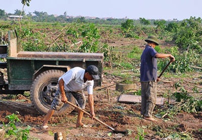 Cưỡng chế có thể tránh khi thuyết phục có lý, có tình - 1 Cưỡng chế có thể tránh khi thuyết phục có lý, có tình