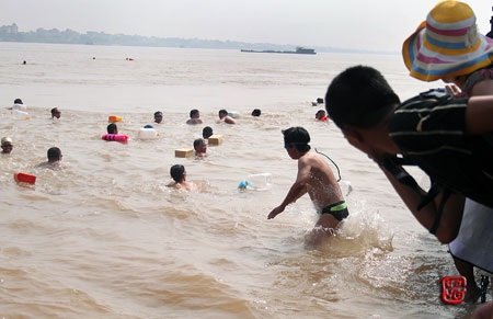 Hội bơi sông Hồng sôi động năm nay