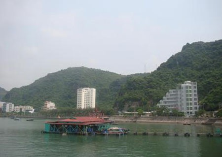 Động đất qua “ống kính phóng viên nhân dân” từ các "điểm nóng" - 3 Động đất khiến các nhà nổi tại biển Cát Bà rung lắc mạnh (ảnh: Thế Cường)