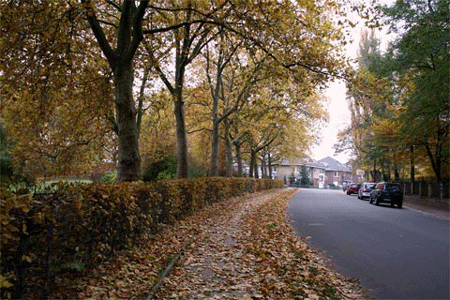 Một căn hộ xinh xắn đã được Dichvit