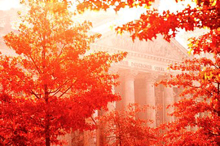 Một căn hộ xinh xắn đã được Dichvit