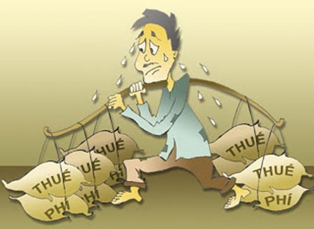 Sẻ chia với nhận xét của đạo diễn Quang Dũng về giao thông - 3 Trước hết hãy tự phạt mình