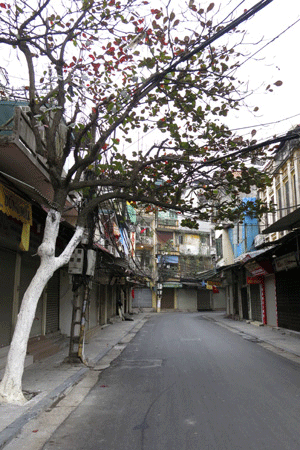 Chuyện về "điều ước Hà Nội" và chuyện “những người thích ầm ĩ” - 2 Phố Hà Trung sáng mùng 1 Tết (ảnh: Hữu Nghị)