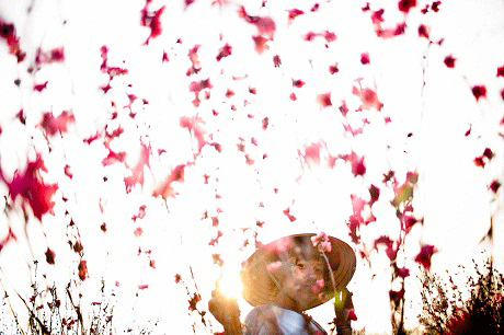 (Ảnh minh họa: Aaron Noel Santos Photo)