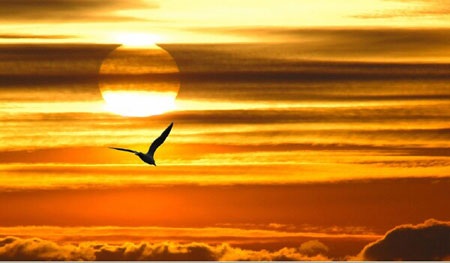 Niềm tin! - 1 (minh họa từ internet)