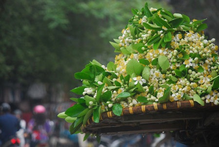 (ảnh: Hồng Ngọc)