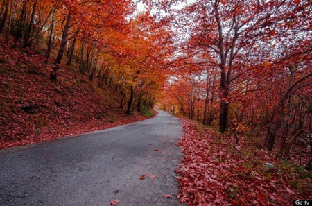 Trikala, Thessaly, Hy Lạp (chùm ảnh của: Huffington Post)