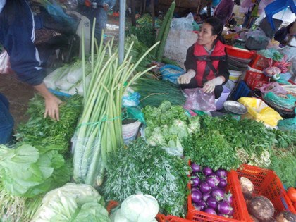 Cọng rau tử tế! - 1 (ảnh minh họa: Nhất Nam)