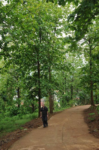 Du khách Pháp một mình trên đường...