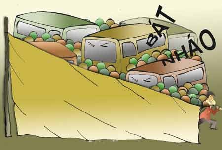 Hà Nội cần chấn chỉnh việc cấp phép, quản lý hành nghề taxi - 1 (minh họa: Ngọc Diệp)