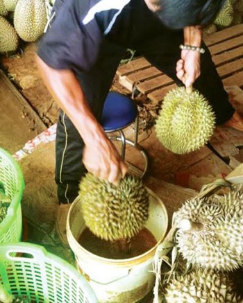 Không thể nói bó tay với trái cây tẩm hóa chất độc hại!