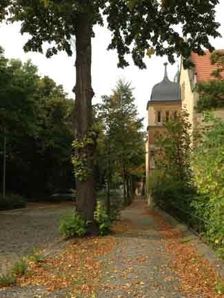 ... bắt đầu rơi xao xác