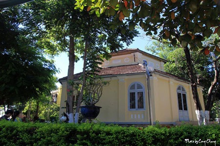 Bùi Phương Thảo