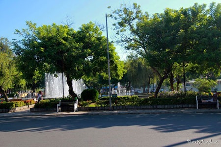 Bùi Phương Thảo