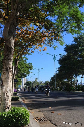 Bùi Phương Thảo