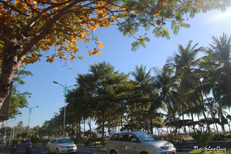 Bùi Phương Thảo