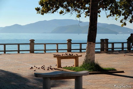 Bùi Phương Thảo