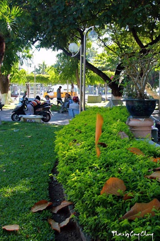 Bùi Phương Thảo