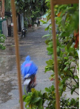 Bùi Phương Thảo