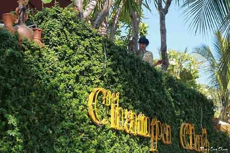 Một buổi sáng giữa đời thực