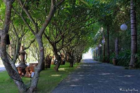 Một buổi sáng giữa đời thực