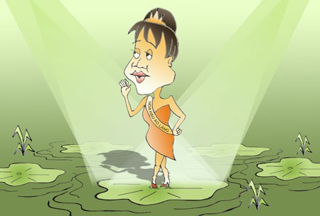Phụ nữ và các cuộc thi Hoa hậu - 1 (minh họa: Ngọc Diệp)