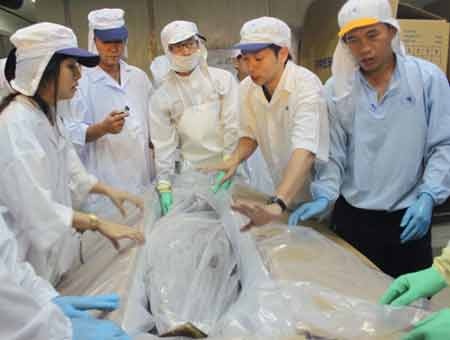 Chuyện dài về con cá Ngừ - 1 Cá ngừ được đóng thùng chuẩn bị đưa lên máy bay qua Nhật Bản (ảnh: Doãn Công)