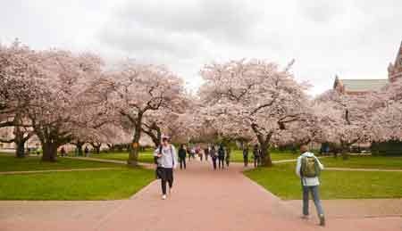 Seattle thành phố tôi yêu - 6 Seattle thành phố tôi yêu