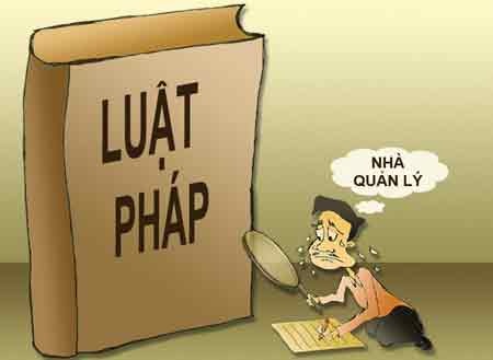 Nghề luật sư không hề dễ sống - 1 (minh họa: Ngọc Diệp)