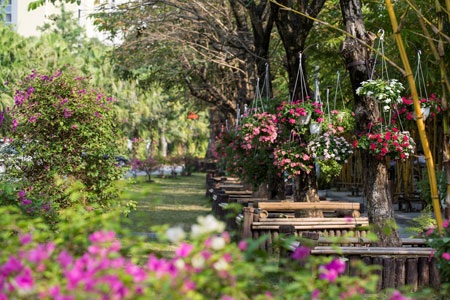 Chiêm ngưỡng khu đô thị xanh hàng đầu Đông Nam Á - 13 Ngoài giờ học, các em học sinh được vui chơi thư giãn trong không gian Xanh lý tưởng