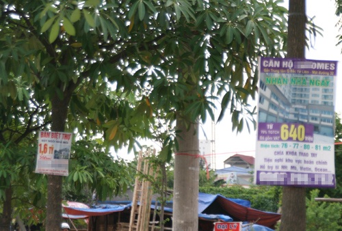 Người mua nhà sẽ có nhiều sự lựa chọn