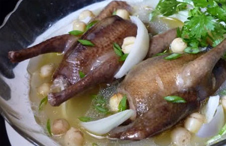 Chim bồ câu giúp phòng và trị viêm mũi dị ứng