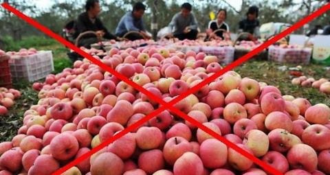 "Thoát Trung": Nhập từ cái tăm..., có lợi ích nhóm không? - 1 Rau quả, nông sản cũng phải nhập khẩu từ Trung Quốc